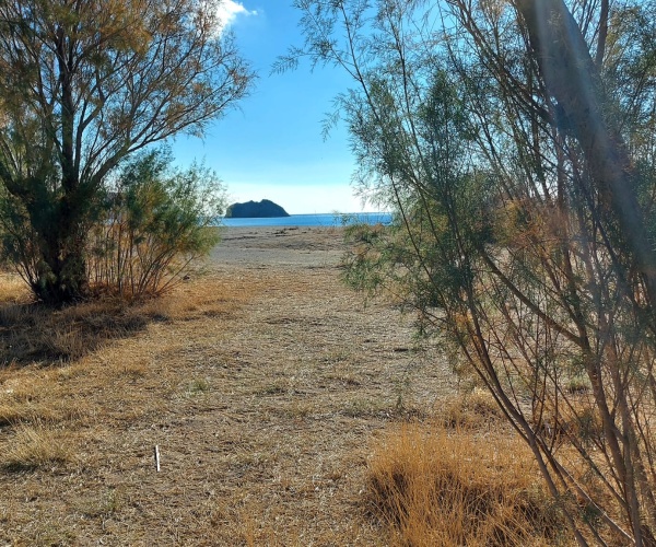 Skala Eressos, Lesvos Island 81105, 0 , 0 ,0,Land Plot,For Sale,0,1198