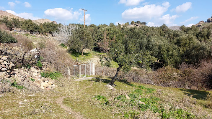 Eressos, Lesvos Island 81105, ,Land Plot,For Sale,1202