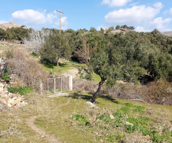 Eressos, Lesvos Island 81105, ,Land Plot,For Sale,1202