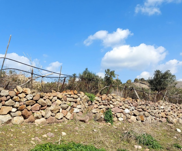 Eressos, Lesvos Island 81105, ,Land Plot,For Sale,1202