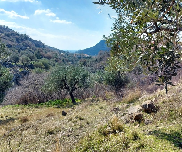 Eressos, Lesvos Island 81105, ,Land Plot,For Sale,1202