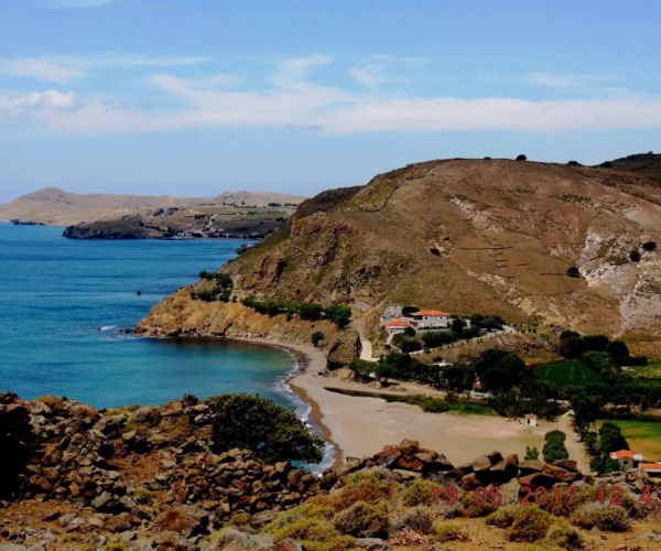 Podaras, Lesvos Island 81105, 7 Bedrooms Bedrooms, ,Business,For Sale,1203