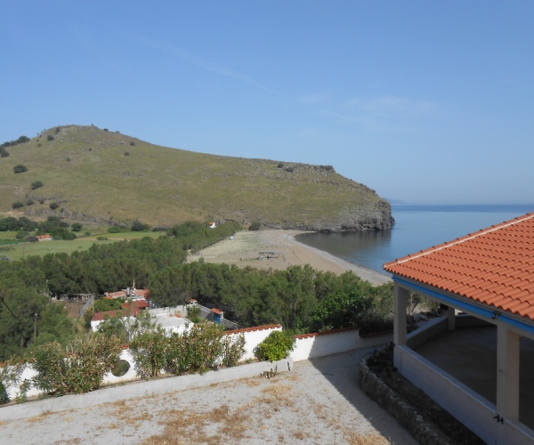 Podaras, Lesvos Island 81105, 7 Bedrooms Bedrooms, ,Business,For Sale,1203