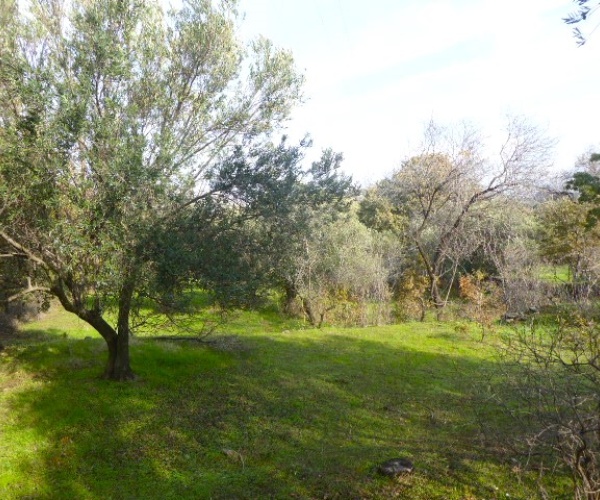 Kampos Eressos, Lesvos Island 81105, 1 Bedroom Bedrooms, ,House and Land,For Sale,1207