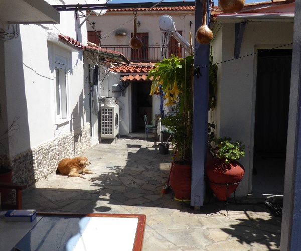 Eressos, Lesvos Island 81105, 2 Bedrooms Bedrooms, ,2 BathroomsBathrooms,House,For Sale,1209