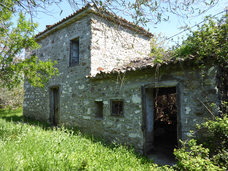 Kampos Eressos, Lesvos Island 81105, 1 Bedroom Bedrooms, ,House and Land,For Sale,1211