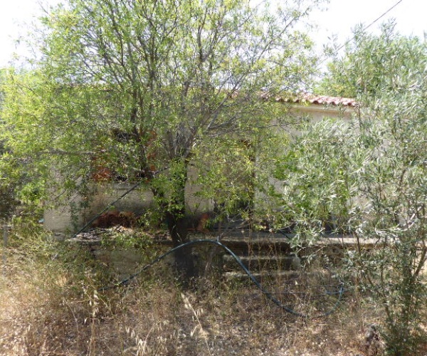 Kampos Eressos, Lesvos Island 81105, 1 Bedroom Bedrooms, ,House and Land,For Sale,1219