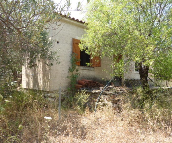 Kampos Eressos, Lesvos Island 81105, 1 Bedroom Bedrooms, ,House and Land,For Sale,1219