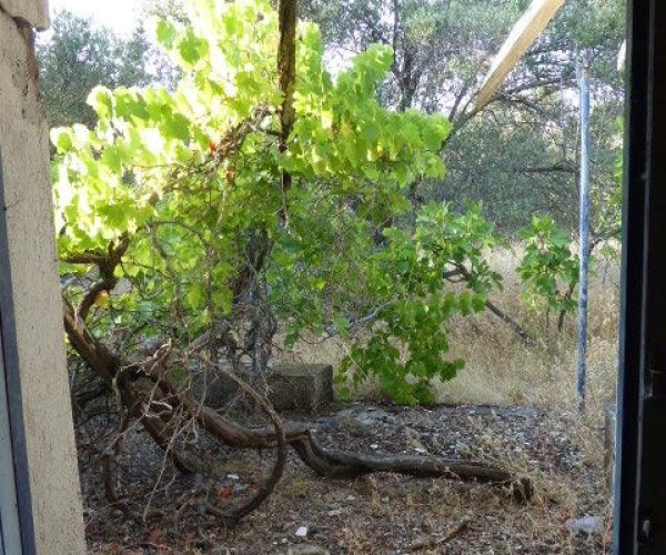 Kampos Eressos, Lesvos Island 81105, 1 Bedroom Bedrooms, ,1 BathroomBathrooms,House and Land,For Sale,1229