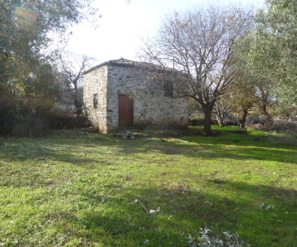 Kampos Eressos, Lesvos Island 81105, 1 Bedroom Bedrooms, ,House and Land,For Sale,1241