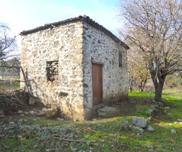 Kampos Eressos, Lesvos Island 81105, 1 Bedroom Bedrooms, ,House and Land,For Sale,1241