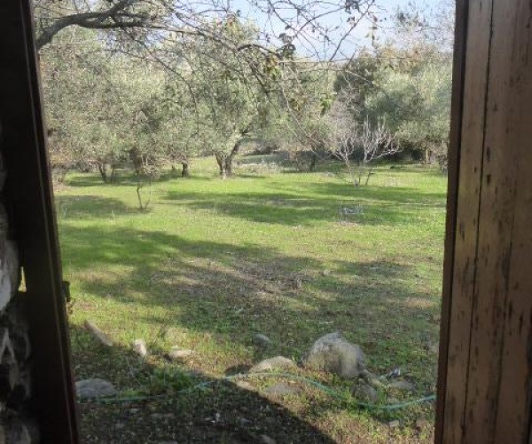 Kampos Eressos, Lesvos Island 81105, 1 Bedroom Bedrooms, ,House and Land,For Sale,1241