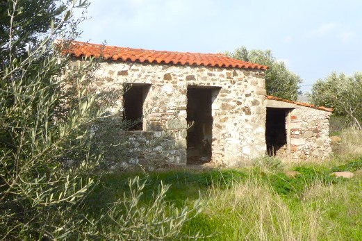 Kampos Eressos, Lesvos Island 81105, ,House and Land,For Sale,1243