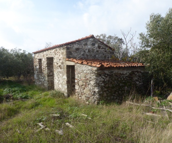 Kampos Eressos, Lesvos Island 81105, ,House and Land,For Sale,1243