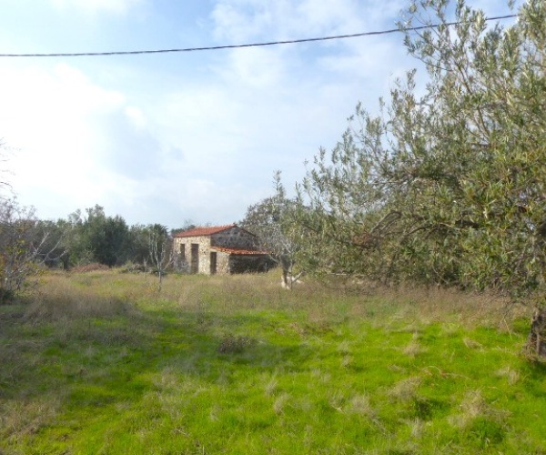 Kampos Eressos, Lesvos Island 81105, ,House and Land,For Sale,1243