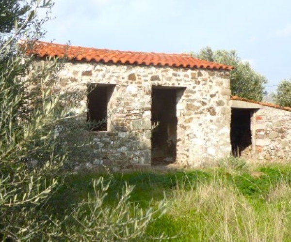 Kampos Eressos, Lesvos Island 81105, ,House and Land,For Sale,1243