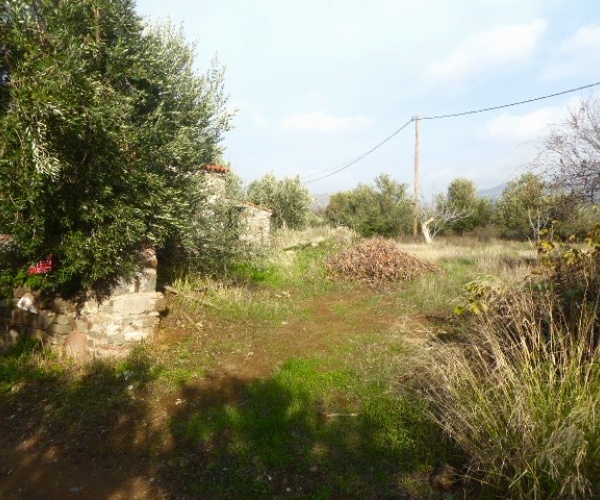 Kampos Eressos, Lesvos Island 81105, ,House and Land,For Sale,1243