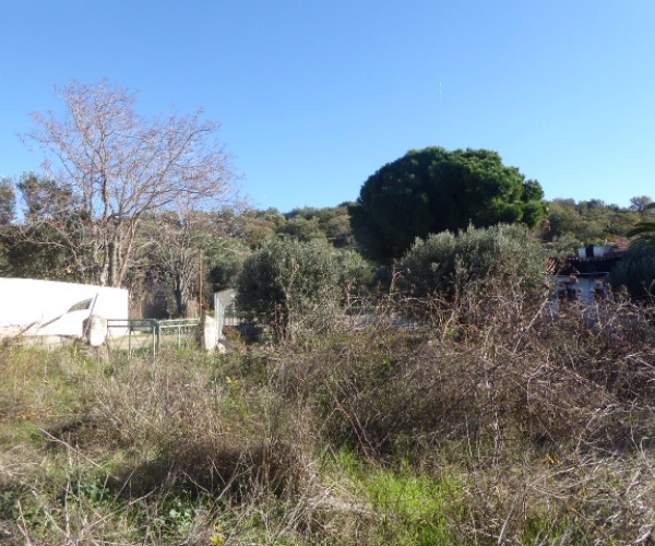 Kampos Eressos, Lesvos Island 81105, 1 Bedroom Bedrooms, ,House and Land,For Sale,1248