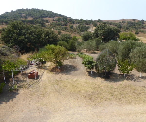 Gavathas, Lesvos Island 81103, 7 Bedrooms Bedrooms, ,7 BathroomsBathrooms,House,For Sale,1251