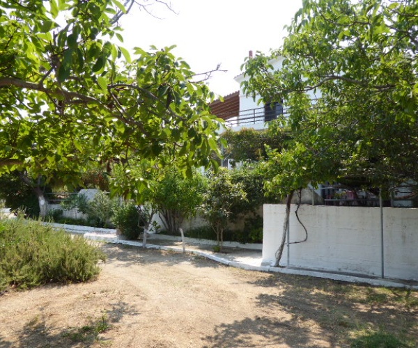 Gavathas, Lesvos Island 81103, 7 Bedrooms Bedrooms, ,7 BathroomsBathrooms,House,For Sale,1251