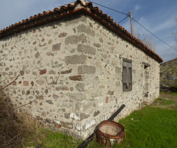 Skala Eressos, Lesvos Island 81105, ,House and Land,For Sale,1252