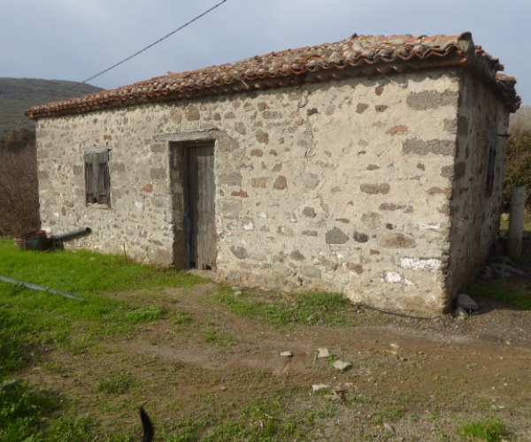 Skala Eressos, Lesvos Island 811 05, ,House and Land,For Sale,1252