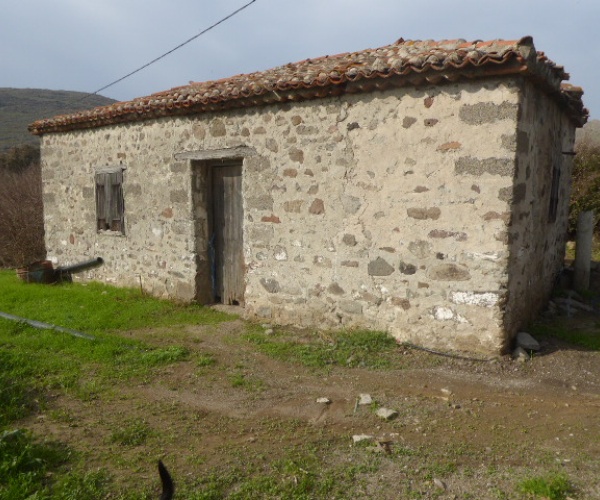 Skala Eressos, Lesvos Island 81105, ,House and Land,For Sale,1252
