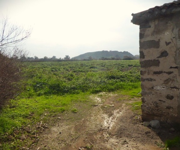 Skala Eressos, Lesvos Island 81105, ,House and Land,For Sale,1252