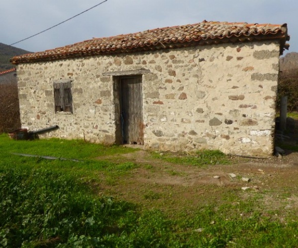 Skala Eressos, Lesvos Island 81105, ,House and Land,For Sale,1252