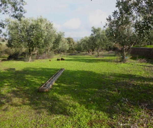 Kampos Eressos, Lesvos Island 81105, ,House and Land,For Sale,1255