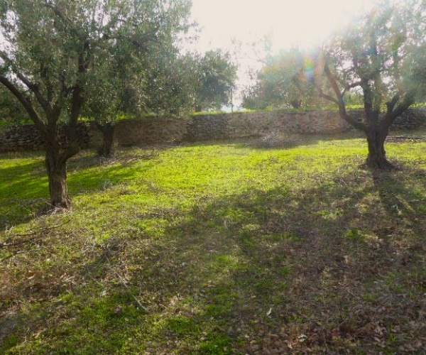 Kampos Eressos, Lesvos Island 81105, ,House and Land,For Sale,1255