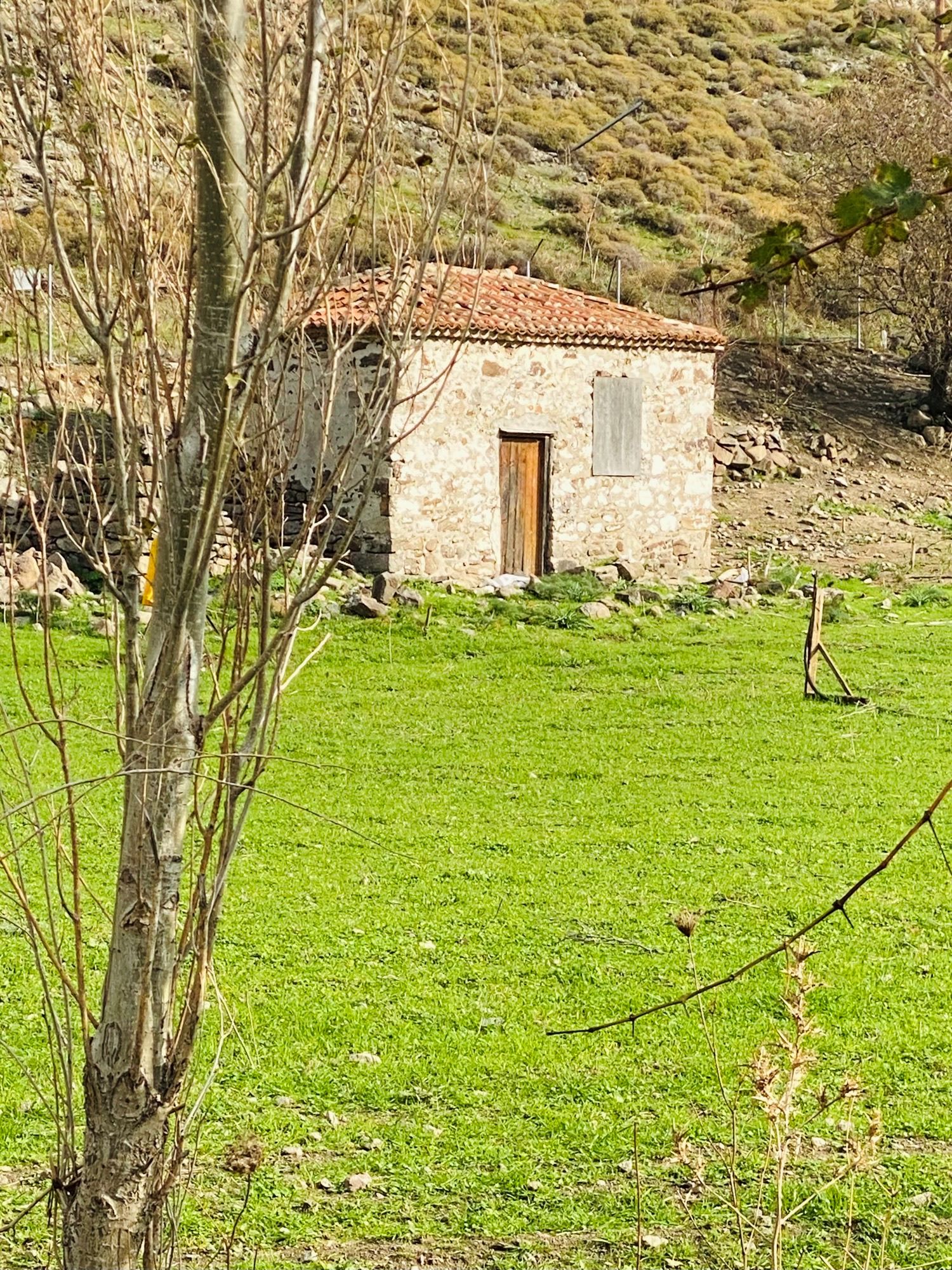 Skala Eressos, Lesvos Island 81105, ,House and Land,For Sale,1264