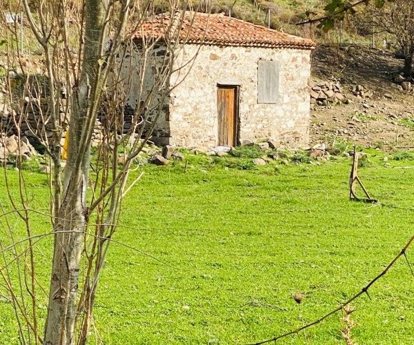 SKE 0319  House and Land for Sale in Skala Eressos