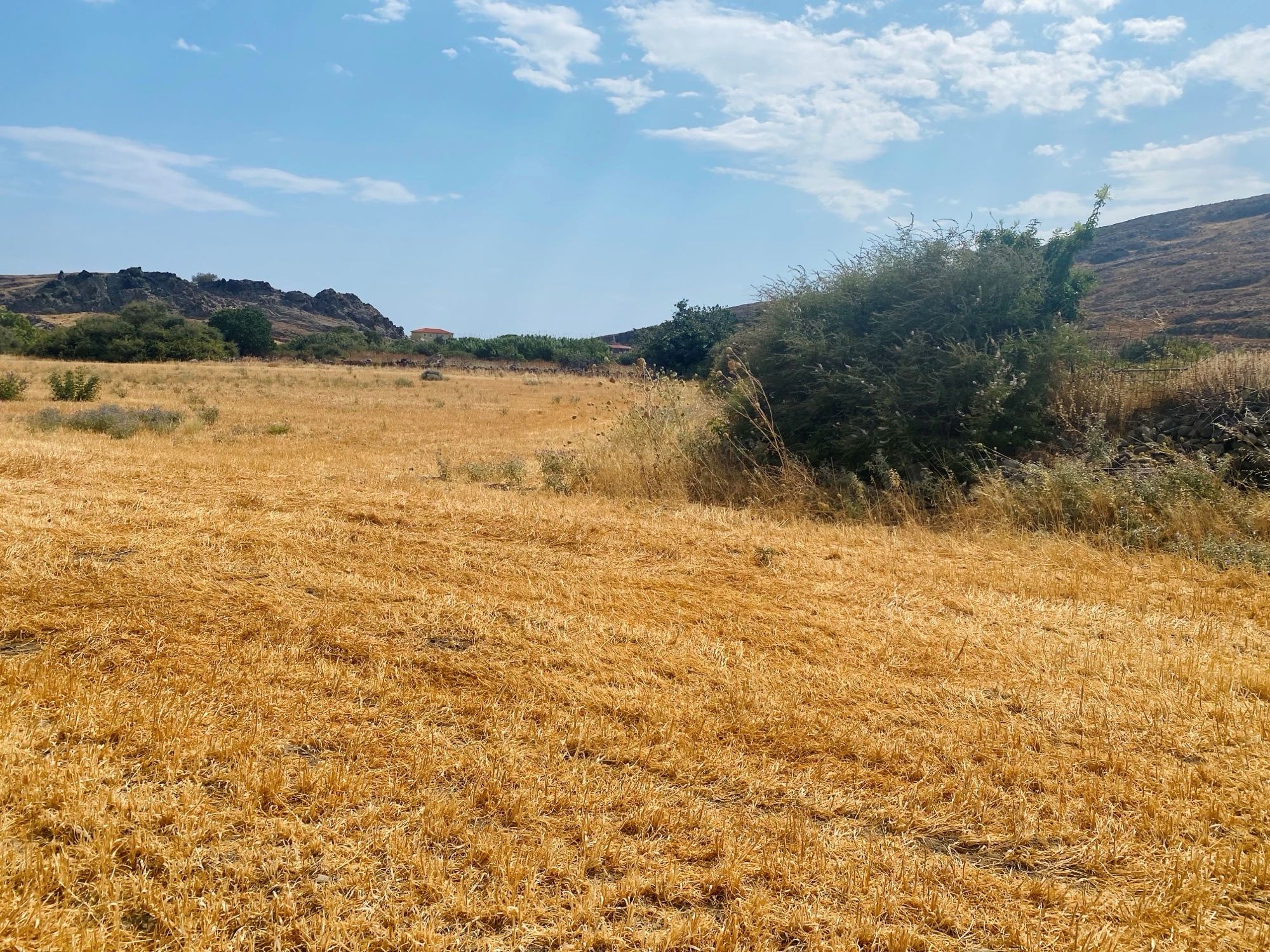 Skala Eressos, Lesvos Island 81105, ,Land Plot,For Sale,1266