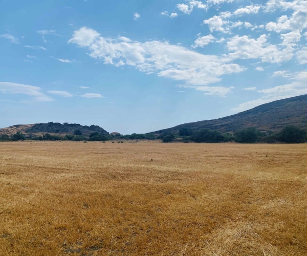 Skala Eressos, Lesvos Island 81105, ,Land Plot,For Sale,1266