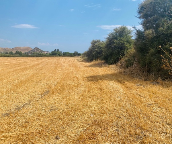 Skala Eressos, Lesvos Island 81105, ,Land Plot,For Sale,1266