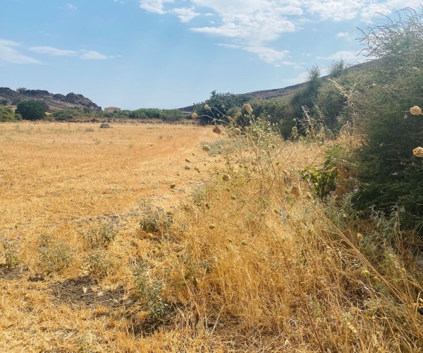 Skala Eressos, Lesvos Island 81105, ,Land Plot,For Sale,1266
