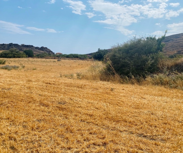 SKE 0320 Land for sale in Skala Eressos