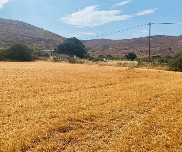 Skala Eressos, Lesvos Island 81105, ,Land Plot,For Sale,1266