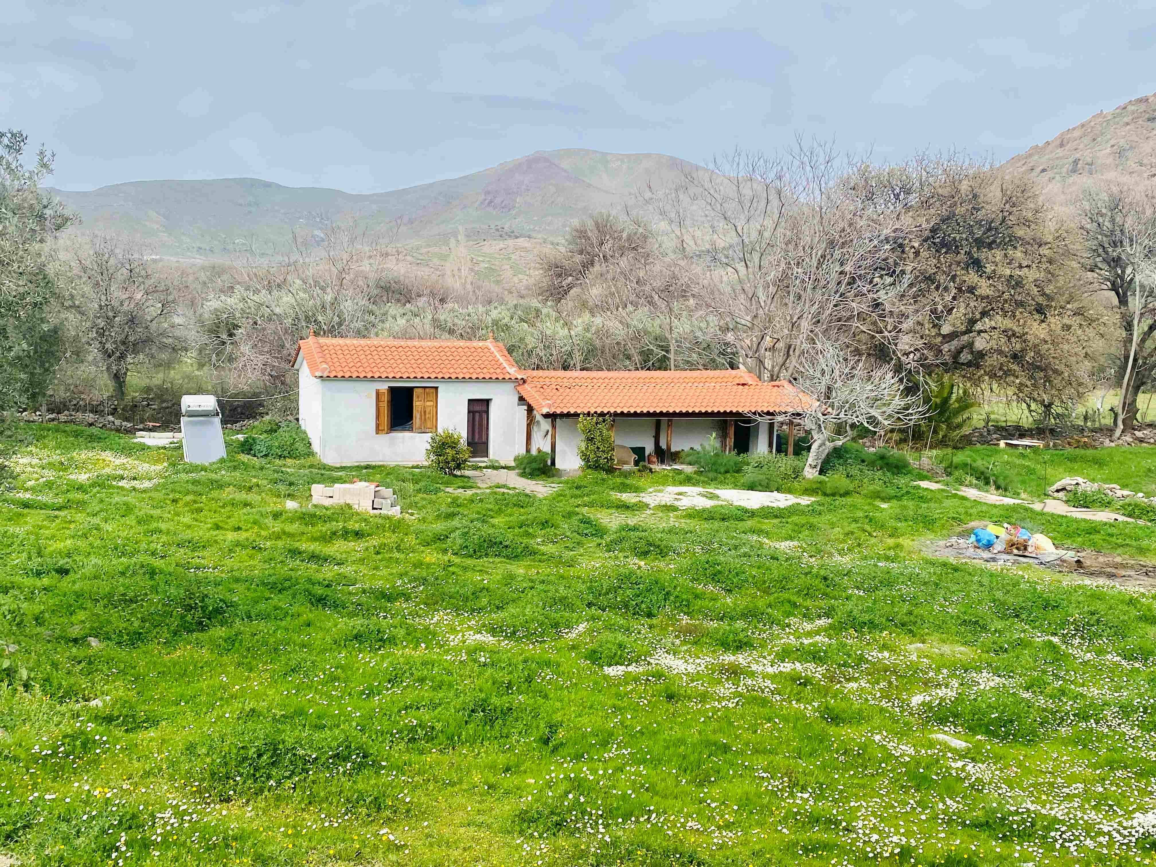 Eressos, Lesvos Island 81105, 1 Bedroom Bedrooms, ,1 BathroomBathrooms,House,For Rent,1281