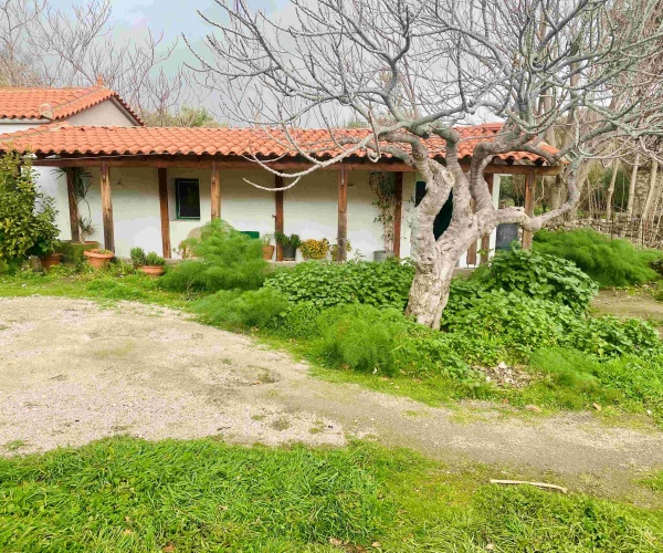 Eressos, Lesvos Island 81105, 1 Bedroom Bedrooms, ,1 BathroomBathrooms,House,For Rent,1281