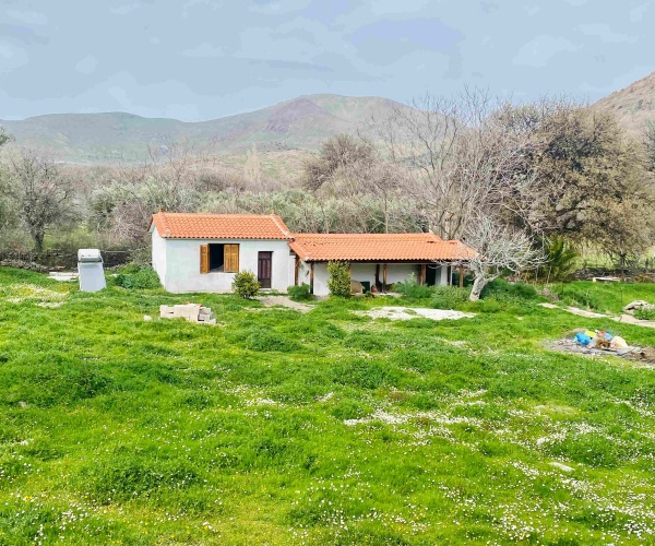 Eressos, Lesvos Island 81105, 1 Bedroom Bedrooms, ,1 BathroomBathrooms,House,For Rent,1281
