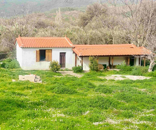 Eressos, Lesvos Island 81105, 1 Bedroom Bedrooms, ,1 BathroomBathrooms,House,For Rent,1281