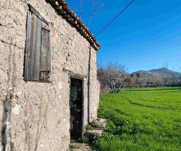 Skala Eressos, Lesvos Island 81105, ,House,For Sale,1289