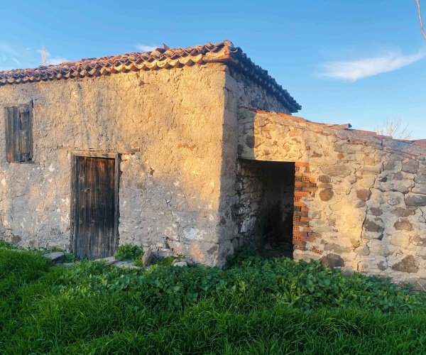 Skala Eressos, Lesvos Island 81105, ,House,For Sale,1289