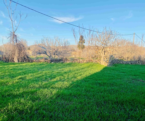 Skala Eressos, Lesvos Island 81105, ,House,For Sale,1289
