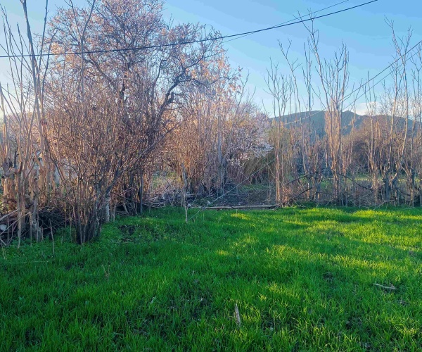 Skala Eressos, Lesvos Island 81105, ,House,For Sale,1289