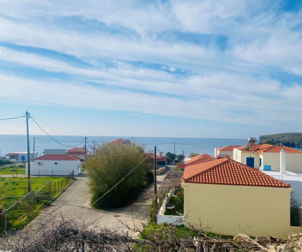 Tavari, Lesvos Island 81105, ,House,For Sale,1291