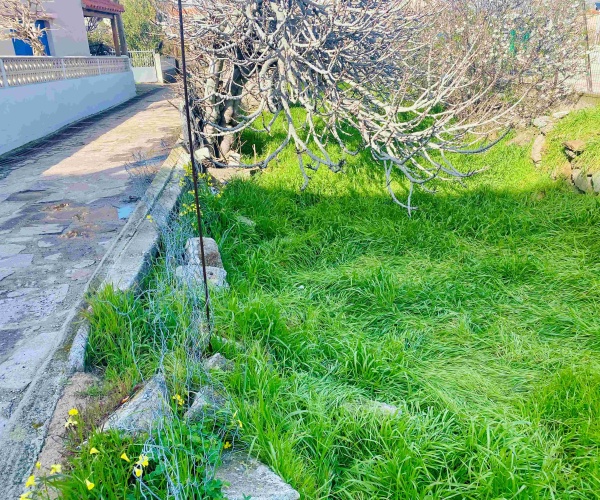 ΣΚΑΛΑ ΕΡΕΣΟΥ, Lesvos Island 81105, ,Land Plot,For Sale,1294