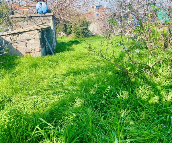 ΣΚΑΛΑ ΕΡΕΣΟΥ, Lesvos Island 81105, ,Land Plot,For Sale,1294